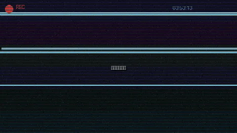 周末随拍记录 - 2019午夜福利合集更新 原创视频